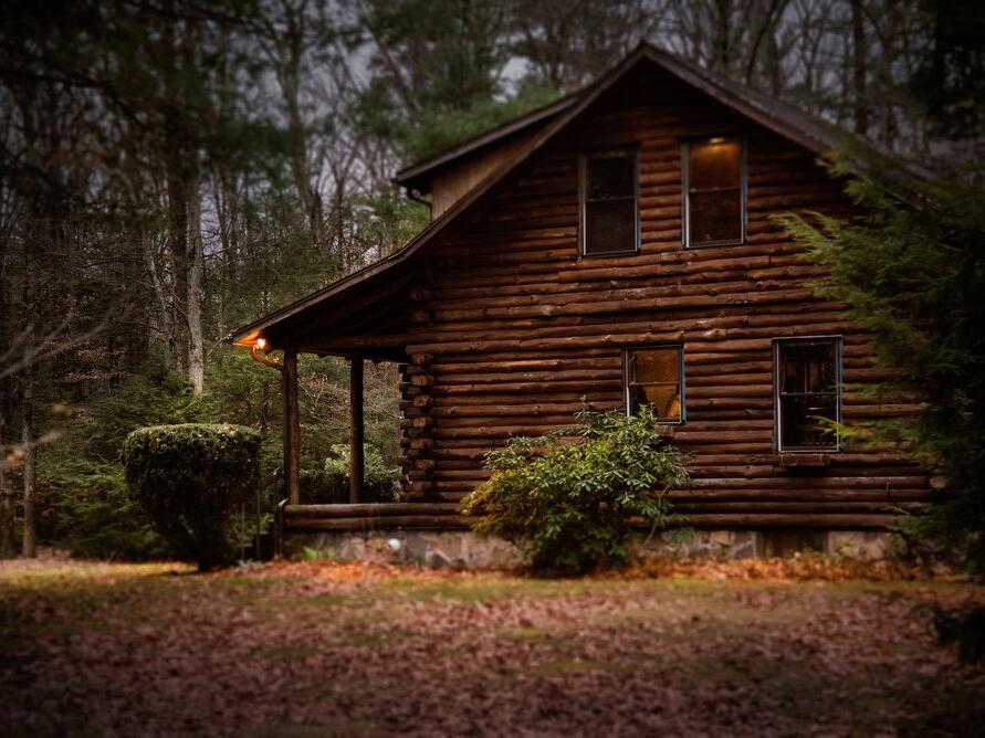 wood cabine placed inside a forest area