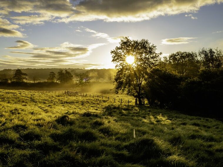 sun rises on a green area